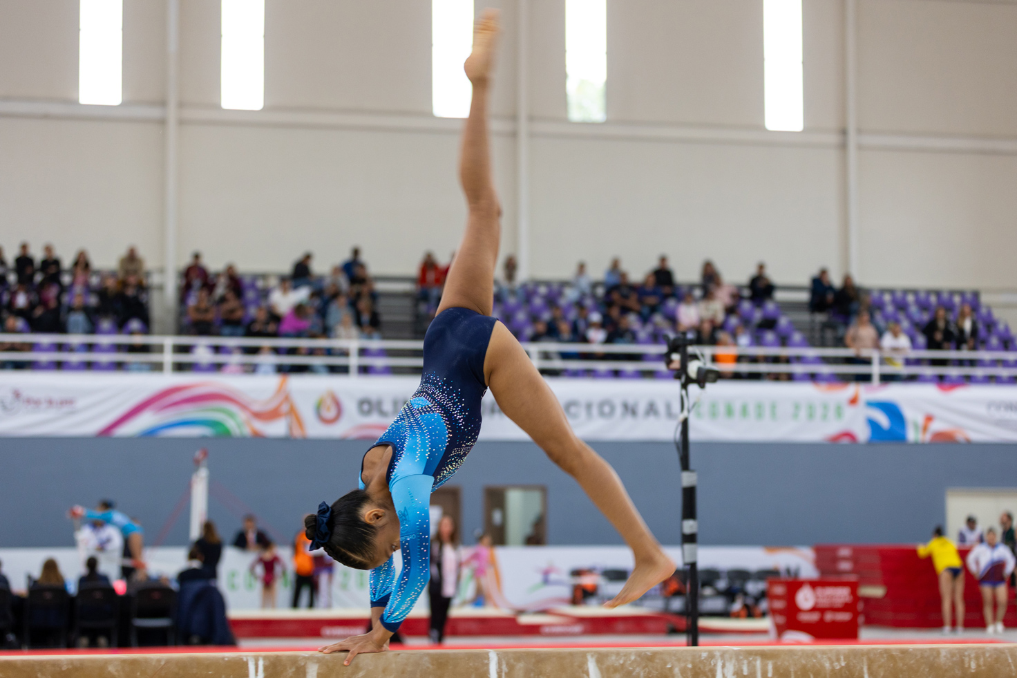 Gimnasia