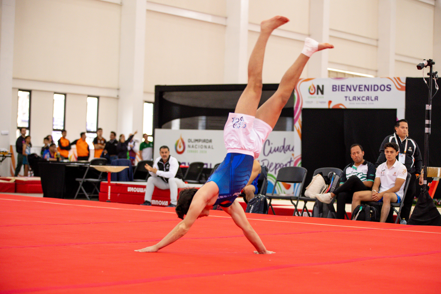 Gimnasia varonil