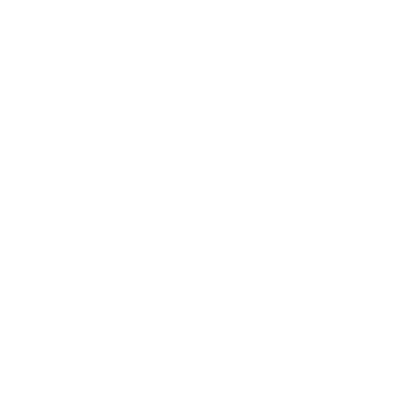 Transporte Especializado